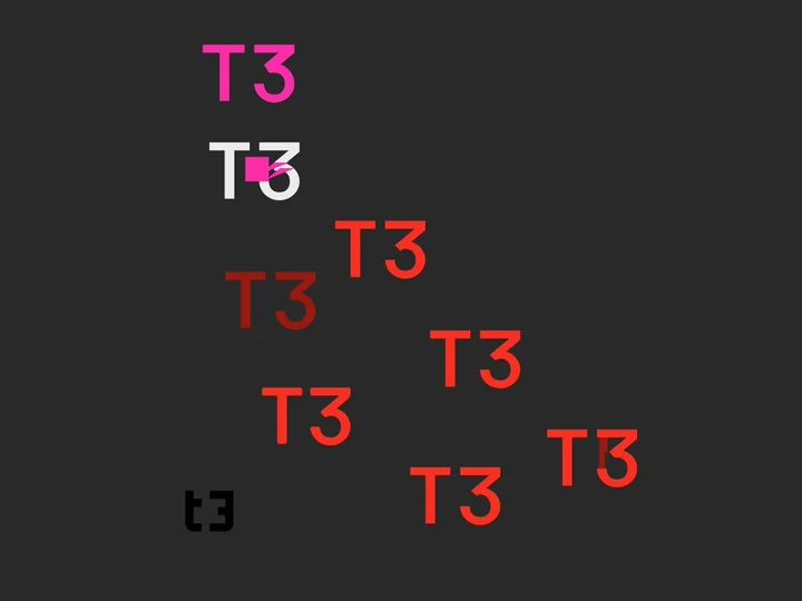 T3 pink and monochrome colorway tests for the logomark