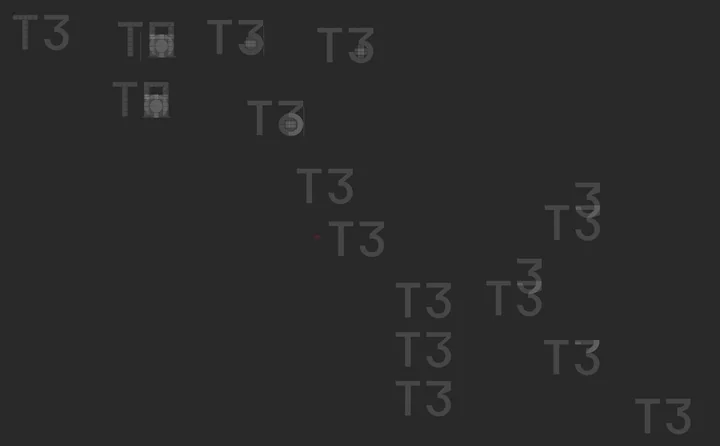 Ghosted T3 comparison grid showing overlapping logomark proportions
